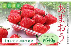 T21 あまおういちご2パック （約270g×2パック） 計約540g 【2026年1月下旬～3月上旬迄順次発送予定】 あまおう いちご ギフト フルーツ 果物 苺 くだもの 果実 福岡県 みやま市