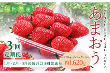 B52【3回定期便】 あまおういちご （約270g×2パック）✕3回 合計約1,620g 【2026年1月下旬に第1回目発送予定】 定期 あまおう いちご ギフト フルーツ 果物 福岡県 みやま市