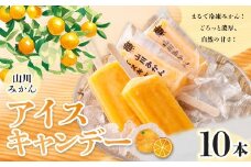A319 山川みかんアイスキャンデー 100ml 10本 セット みかん アイスキャンデー アイスキャンディー フルーツ アイス アイスバー デザート 果物 福岡県 みやま市