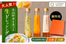 【 贈答用 】 糸島 野菜 を 食べる 生 ドレッシング 3種類 3本 セット ( 人参 1本 / ルッコラレモン 1本 / 玉ねぎ 1本 ) 《糸島》【糸島正キ】[AQA007]