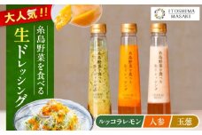 ＼ 1週間以内に発送 ／ 糸島野菜を食べる 生ドレッシング 3種セット ( 玉葱 / 人参 / ルッコラレモン ) 自宅用 糸島市 / 糸島正キ ドレッシング [AQA008] 
