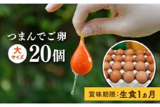 【プリップリな 卵黄 ！】 つまんでご卵 20個 セット 卵 たまご 糸島 / 緑の農園 [AGA008] ランキング 上位 人気 おすすめ
