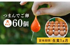 【 プリップリ な 卵黄 ！】 つまんでご卵 60個 セット 糸島 / 緑の農園 たまご 卵 [AGA012] 生卵 鶏卵