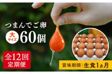 【 全12回 定期便 】つまんでご卵 60個 定期便（月1回） 糸島/緑の農園 [AGA016] ランキング 上位 人気 おすすめ