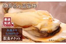 糸島 カキ 3,000円分 飲食 チケット《糸島》【飲食チケット】冬の風物詩 牡蠣小屋[AKD002]