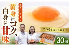 てつやとのりこの 玉子 【 30個 】《糸島》【板垣ファーム】[AWD001]