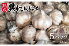 熟成 黒 にんにく （ 5パック ） 《糸島》【シーブ】[AHC003]
