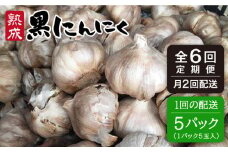 【 全6回（月2回） 定期便 】【 頒布会 】熟成 黒 にんにく 定期 コース  5パック《糸島》【シーブ】[AHC004]