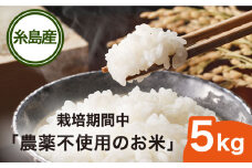 【令和6年産】栽培期間中 農薬不使用のお米 ヒノヒカリ 5kg 糸島市 シーブ [AHC005]