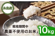 【令和6年産】栽培期間中 農薬不使用のお米 ヒノヒカリ 10kg 糸島市 シーブ [AHC007]