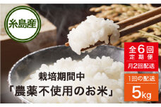 【全6回(月2回)定期便】栽培期間中 農薬不使用のお米 ヒノヒカリ 5kg 糸島市 シーブ [AHC006]米 定期便