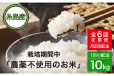 【全6回(月2回)定期便】栽培期間中 農薬不使用のお米 ヒノヒカリ 10kg 糸島市 シーブ [AHC008] 米 定期便