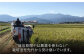 お米 10kg 送料無料 ギフト 10キロ 無農薬 米 おにぎり 定期便