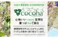 観葉植物 緑 グリーン 室内 インテリア サンセベリア 植物 サンスベリア