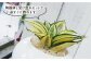 観葉植物 緑 グリーン 暮らし インテリア 小さめ 鉢 おしゃれ 植物 ギフト