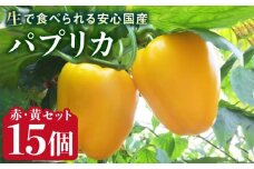 糸島産 肉厚 パプリカ 15個 福岡県  糸島市 / シーブ [AHC032] 野菜 ピーマン