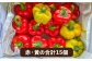 野菜 やさい パプリカ ピーマン 肉厚 生 ピクルス マリネ 肉詰め