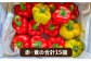 野菜 やさい パプリカ ピーマン 肉厚 生 ピクルス マリネ 肉詰め