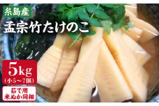 【先行予約受付中】産地直送「孟宗竹」 5kg 【2025年3月下旬以降順次発送】 糸島市 / シーブ 筍 たけのこ [AHC026]