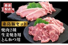 JA糸島  糸島豚 焼肉 トンカツ 生姜焼き セット  糸島市 / JA糸島産直市場 伊都菜彩 [AED003]