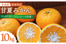 福岡県 糸島産 甘夏 みかん 10kg (約 20個 前後)《糸島》【camogreenfarm】[AIC001]