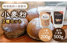 特別栽培小麦使用「糸島ブラン」と「伊都のみのり」セット 糸島市 / 天然パン工房楽楽【いとしまごころ】[AVC003] 小麦粉 国産