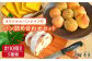 パン 国産 詰め合わせ セット 卵 乳製品 不使用 冷凍 特別栽培