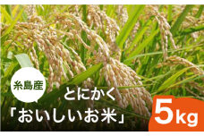 【令和6年産】とにかくおいしいお米 夢つくし 5kg 糸島市 シーブ [AHC021]