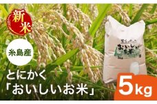 【先行受付】【令和7年産新米】とにかくおいしいお米 ひのひかり 5kg 【2025年10月以降順次発送】糸島市 シーブ [AHC021]