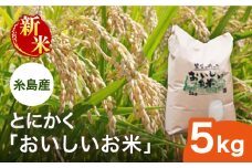 【先行受付】【令和7年産新米】とにかくおいしいお米 ひのひかり 5kg 【2025年10月以降順次発送】糸島市 シーブ [AHC021]