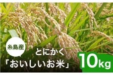 【令和6年産】とにかくおいしいお米 夢つくし 10kg 糸島市 シーブ [AHC023]