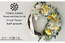 【ホワイト系】ハーフリース《糸島》【tokohana】[AOC019-1]