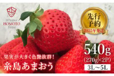糸島の美味い あまおう 270g × 2パック (A品B品含む３L〜５L) 糸島市 / 磯本農園 / TANNAL [ATB003] いちご 苺 イチゴ