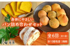 【 全6回 定期便 】身体がよろこぶ パン セット ( 卵 / 乳製品 不使用 )《糸島》【天然パン工房楽楽】【いとしまごころ】[AVC006]