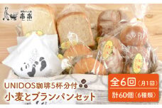【 全6回 定期便 】栽培期間 農薬 科学肥料 不使用 小麦 と ブラン の パン セット & UNIDOS 珈琲 5杯分 ( 卵 / 乳製品 不使用 )《糸島》【天然パン工房楽楽】 【いとしまごころ】[AVC023]
