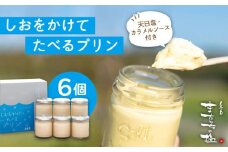 しおが主役 しおをかけてたべる プリン 花塩 プレーン 6個 セット 糸島市 / またいちの塩 [AEB001] ランキング 上位 人気 おすすめ