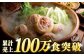 人気 華味鳥 水炊き はなみどり 鍋 なべ 水炊きセット 博多 鍋セット 鍋料理