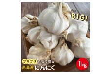 にんにく 1kg 数量限定《糸島》【爽風農園】【いとしまごころ】[AHZ002]