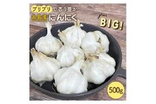 にんにく 500g 数量限定《糸島》【爽風農園】【いとしまごころ】[AHZ001]
