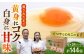 玉子 たまご 卵 ビタミン ミネラル 福岡