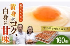 てつやとのりこの 玉子 【 160個 】《糸島》【板垣ファーム】[AWD005]