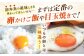 玉子 たまご 卵 ビタミン ミネラル 福岡