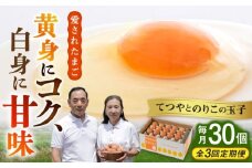 【 全3回 定期便 】てつやとのりこの 玉子 【 30個 × 3ヶ月 】《糸島》【板垣ファーム】卵  たまご   [AWD006]