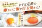 黄身にコク！白身に甘み！ 糸島産たまご　卵
