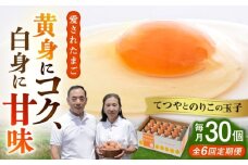 【 全6回 定期便 】てつやとのりこの 玉子【 30個 × 6ヶ月 】《糸島》【板垣ファーム】[AWD009]