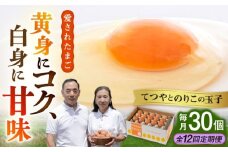 【全12回定期便】てつやとのりこの 玉子　30個 × 12ヶ月　糸島 / 板垣ファーム たまご 卵12か月  [AWD010]