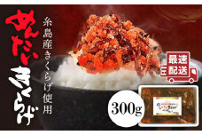結樹農園 アグリス めんたい きくらげ 300g 《糸島》【結樹農園アグリス】きくらげ/国産/明太/明太子 [AAJ001]