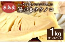 【先行予約】 湯がきタケノコ 1kg 【2025年3月下旬以降より順次発送・季節限定】糸島市 / 糸島王丸農園(谷口汰一)【いとしまごころ】 [AAZ009]