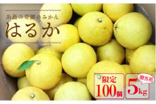【先行予約】 爽やかに 甘い ！ 糸島産 「 はるか 」  贈答用 約 5kg 【2025年3月より順次発送】二丈赤米産直センター [ABB001]