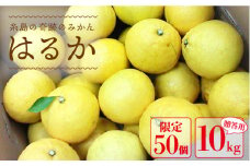 【先行予約】爽やかに甘い！ 糸島 産「 はるか 」  贈答 用 約10kg 【2025年3月より順次発送】 《糸島》【二丈赤米産直センター】 [ABB002]